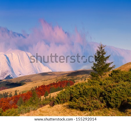 Colorful autumn landscape in the mountains