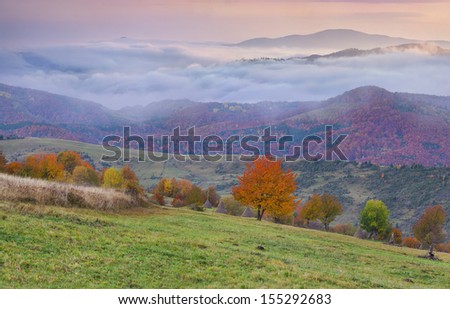Foggy autumn morning in the mountain village
