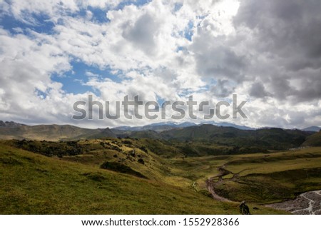 Landscape. The vegetation is set against the background of mountains and hills in the Caucasus mountains.