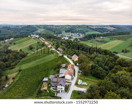 Beautiful vineyards in Jeruzelum an untouched natural beauty of Slovenia from an aerial perspective. Driving around the rolling hills in the wine region
