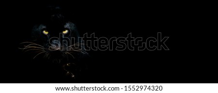 Black panther with a black background Royalty-Free Stock Photo #1552974320