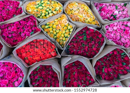 Colorful roses Packed background. Beautiful, high quality, good for holidays, valentines's gift. at Pak Khlong Talat Flower market,Thailand.