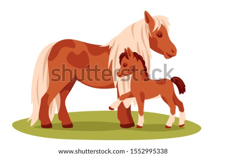 Mom pony stands in the clearing with her baby