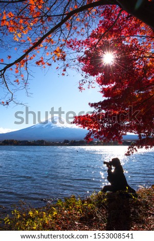 Tourist taking a photo of Fuji Mt. under maple tree at Lake Kawaguchi, Japan. in autumn season.