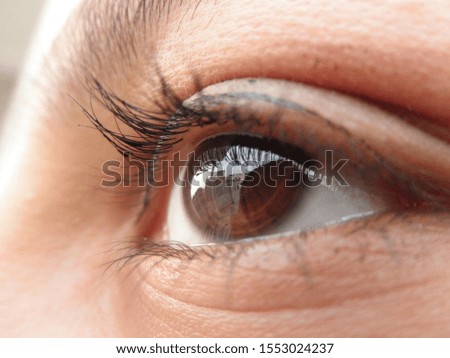 Brown colored eye close up
