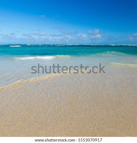 Sea wave on the sand of a tropical beach in a wild turquoise bay on the Pacific Ocean. Sunny day for a beach holiday.