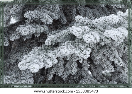 Fir branches in hoarfrost. Beautiful winter background. Christmas wallpaper, postcard, cover, banner. А picture in a frame. Cold forest background. Winter decoration. Copy space