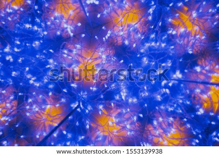 Christmas and New Year background, shine led blue and yellow warm contrast lights of garland with circle mirror infinity reflection fractal and fantastic atmosphere of magic and winter