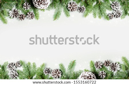 Christmas New Year decoration on bright background with pine cones and snow