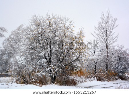 Late fall, early winter landscape in Bromont, Eastern township  Quebec, Canada