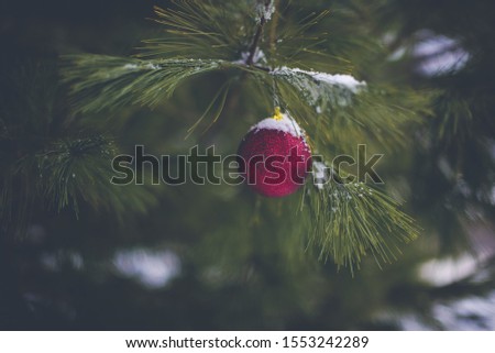 A closeup shot of a red ornament hanging from a snowy Christmas tree with a blurred background