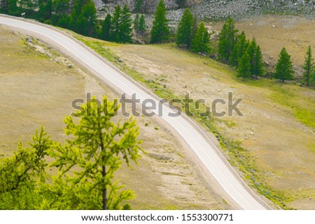 Asphalt road through hills and forest. Road trip in nature in mountains