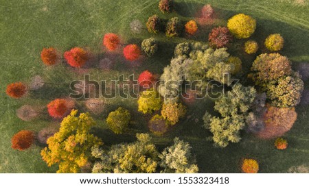 Ariel View of Colorful Fall Trees
