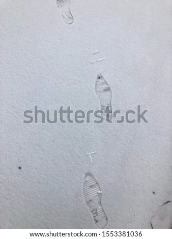 footprints in the snow in winter