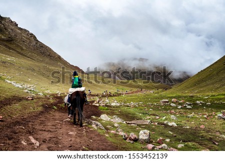 A Quechuan man and his horse on the Peruvian Andes. The horses are generally used to help hikers up the mountains.