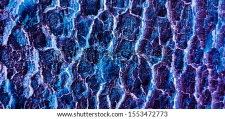Abstract closeup of a blue and purple tree bark texture background