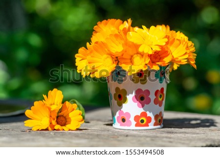 Orange calendula flowers in a small bucket in the garden on wooden background
