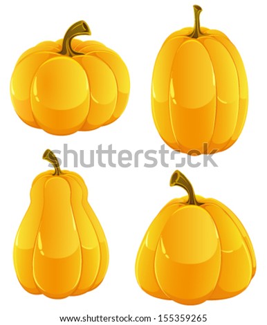 Four ripe pumpkins of different forms on a white background
