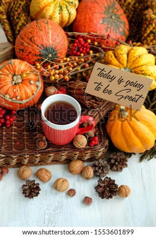 today is going to be Great - inspiration motivation quote. cup of tea, pumpkins, nuts, cones. fall season background. home hygge comfort concept. symbol of autumn