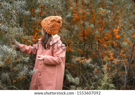 A beautiful girl in a brown coat and orange wool hat picks sea buckthorn berries. bushes in the background. Autumn horizontal portrait of a kid. side view.
