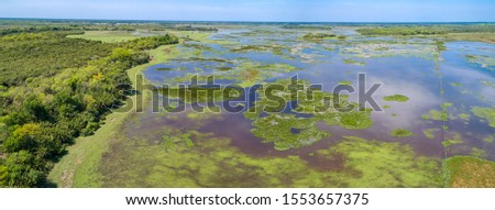 Aerial view panorama of a flood plain with a fence and cattle in the Pantanal Wetlands, Mato Grosso, Brazil