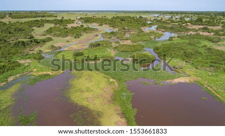 Aerial shot of typical Pantanal Wetlands landscape with lagoons, forest, meadows, river, fields, , Mato Grosso, Brazil
