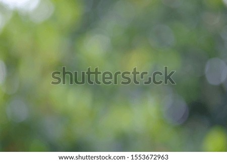Blurred Green leaf on bokeh background
