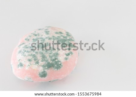 Round rice cake with mold
