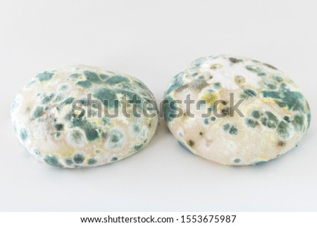 Round rice cake with mold