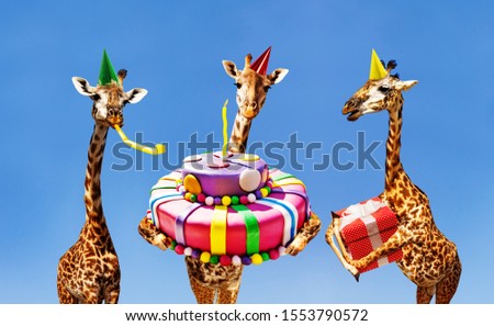 Giraffes on birthday party with cake and present