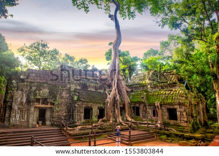 Ta prohm temple or Tom rider or green Mos and big tree temple is on Angkor wat temple area in Siem reap, Combodia, Asia, unesco, amazing, travel and temple concept Royalty-Free Stock Photo #1553803844