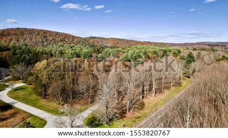 aerial top down shot over leafless trees & a quiet road, taken on a beautiful, sunny day in upstate, New York in a town called Millbrook