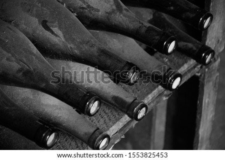 Dusty wine bottles on wooden shelf in cellar. Old vintage quality aging wine background. Wine investment business concept. Black white photo.