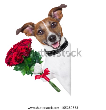 valentine dog  with a bunch of  red  roses beside a blank banner