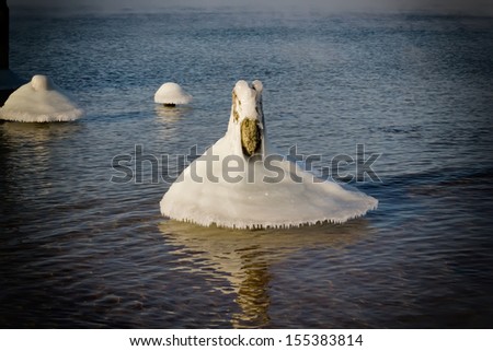 ice Swan