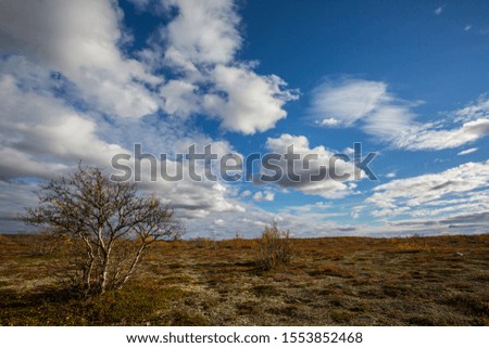 Tundra landscape in Northern Norway