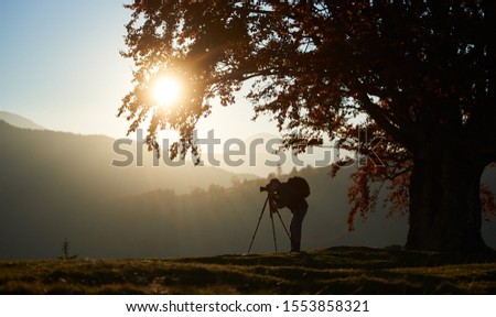 Tourist photographer with backpack using tripod and professional camera to take picture of mountain panorama, standing under large tree on woody foggy mountains landscape and blue sky background.