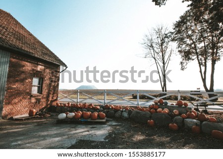 pumkins laying infront of a farm house