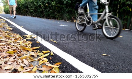 Riding on the asphalt road beside the leaves (deliberately riding a fuzzy dynamic background image)