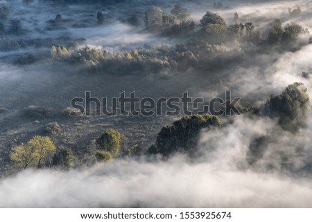 Autumn landscape, the misty forest