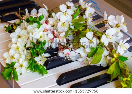 Bouquet of apricot flowers and cherry on the piano keys