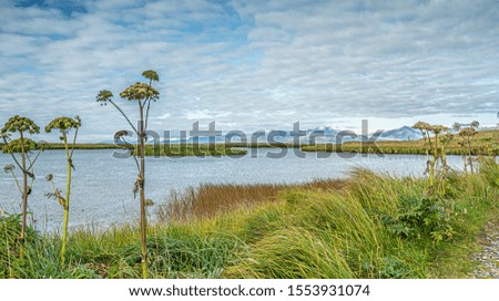tranquil landscape at south coast of Iceland near village of Hofn, landscape photography