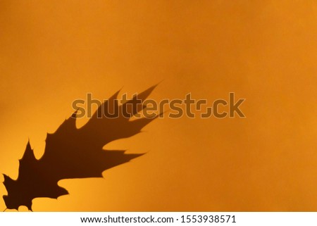 Oak leaf grey shadow on orange color background. Minimal autumn, halloween concept. Overlay effect for photo. Flat lay, top view, copy space.