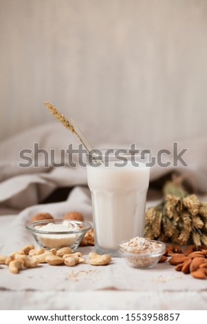 Fresh vegan alternative milk in big glass. Closeup, gray background. Healthy vegetarian food concept. Almond, cachou, walnut, oatmeal, coconut to illustrate raw ingredients. Copy space for text