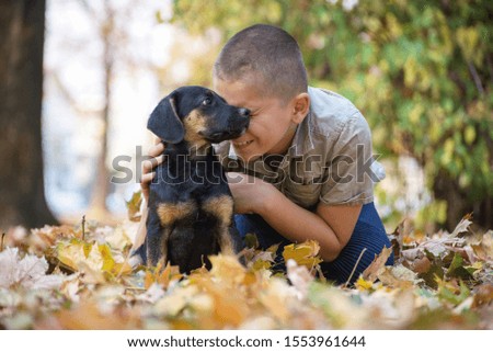 Happy boy with a beautiful dog in the park