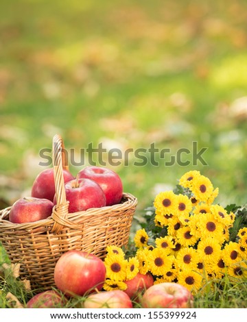 Basket with red apples and flowers in autumn outdoors. Healthy eating concept