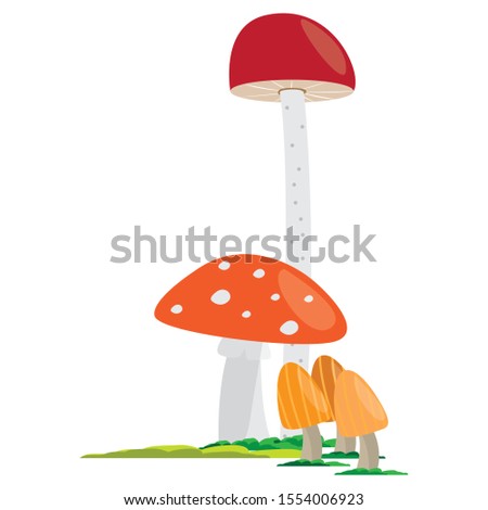 Group of mushroom on a white background - Vector illustration