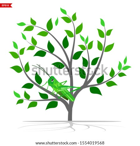 tree and grasshopper plants with green leaves on a white background, vector
