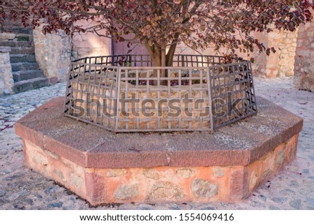 Original design vintage round bench with a small decorative tree with burgundy leaves in small courtyard