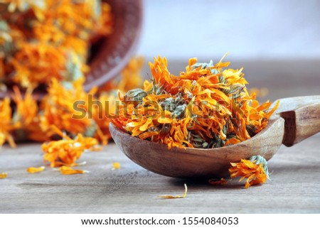 dried calendula flowers in a wooden spoon. calendula tea. alternative medicine